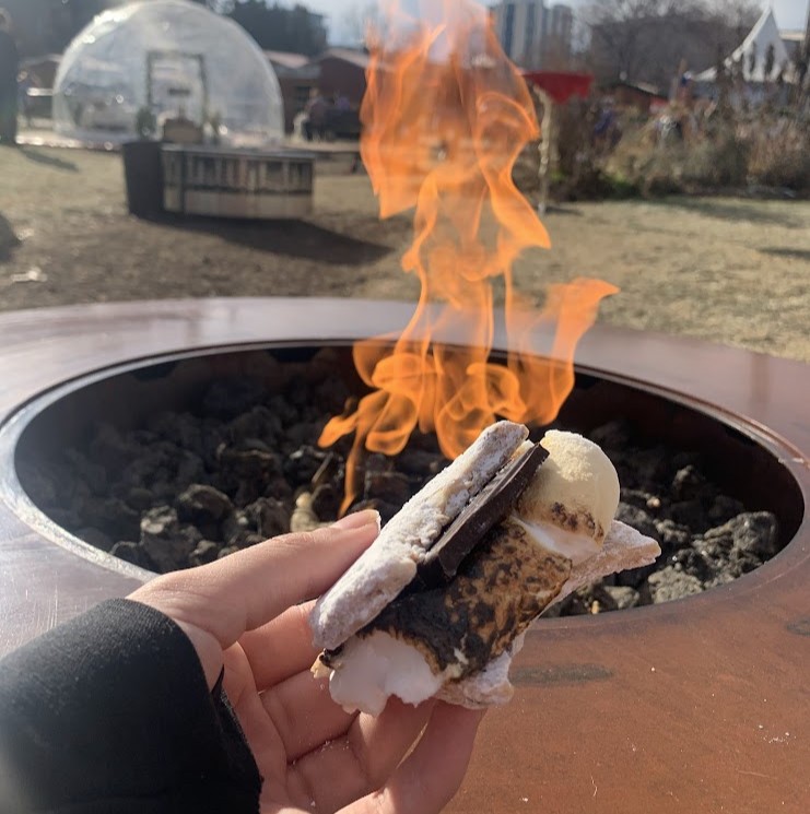 Colorado Fire Pit 1 S'mores at a Colorado Fire Pit