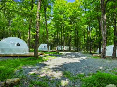 Ferncrest: From Burnout to a Bold New Business Model in Outdoor Hospitality